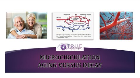 MICROCIRCULATION - AGING VERSUS DECAY | True Pathfinder