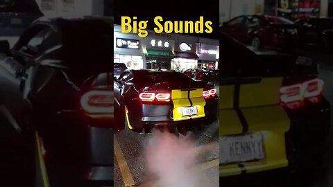 Big Sounds Camaro Budsies #shorts #camaro #2022 #sfmcollective #chevrolet #v8