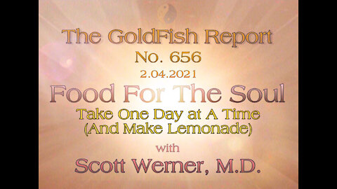 The GoldFish Report No. 656 - [Time to Participate] with Scott Werner, M.D.