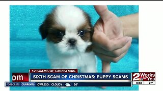 Sixth Scam of Christmas: Puppy Scams