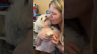 First Dog to Sing Happy Father's Day