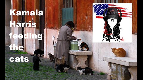 Childless cat lady Kamala Harris & Co feeding cats, crying racism