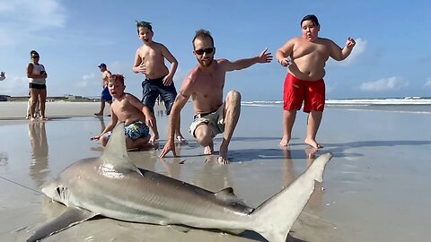 Kids were terrified! Shark Caught from the Beach!!!