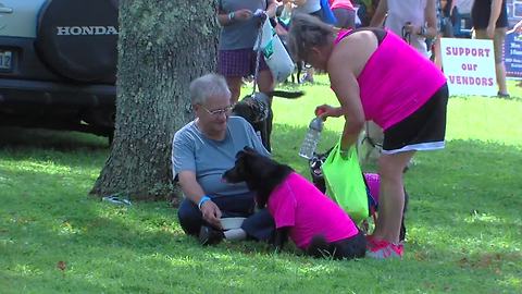 Dogfest: Baltimore Humane Society biggest dog day of the year