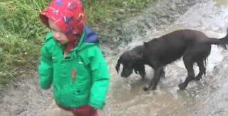 Criança e cão adoram brincar em poças de água