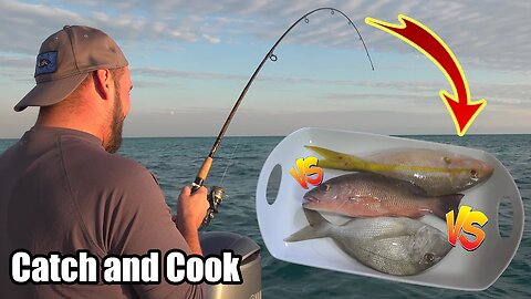 HOT ACTION! Patch Reef Fishing in Key Largo | Catch N Cook