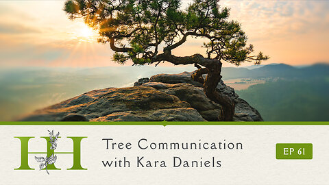 Tree Communication with Kara Daniels - Ep. 61 - The Healing Home