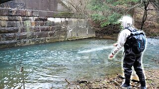 Catching a MONSTER Brown Trout out of a Local Creek!!