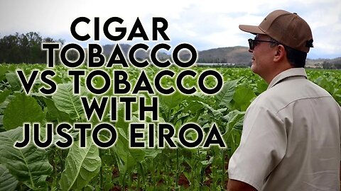Cigar Tobacco vs Tobacco with Justo Eiroa of Aladino