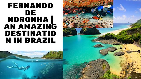 FERNANDO de NORONHA | An AMAZING destination in Brazil
