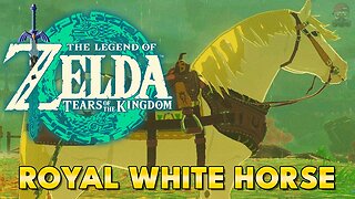 Zelda: Tears of the Kingdom - Royal White Stallion (Zelda's Horse) Location