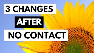 3 Changes After Going No Contact
