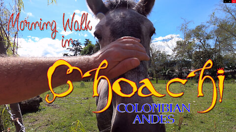 A Morning Walk in Choachi - Colombian Andes