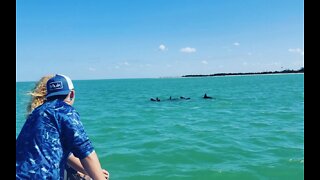 Spring Break 2022 - Karly & Luke Pasmore Dolphin Watch While Fishing Today Off Of Anclote Key State Park ❤🐬🚤😎