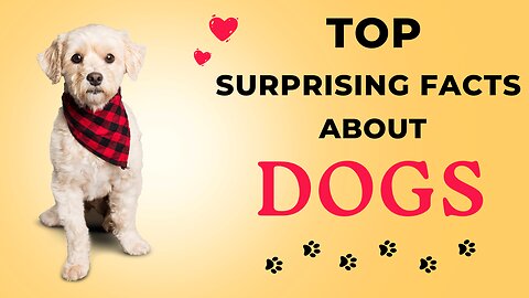 Unveiling the Top Surprising Dog Facts That'll Make Your Tail Wag