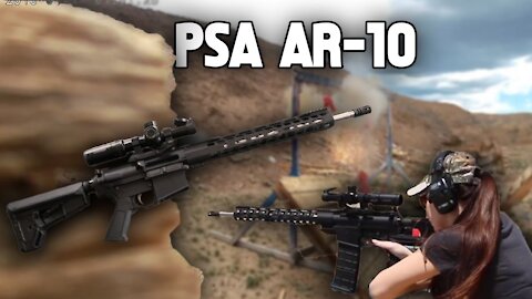 AR10 for Under $650