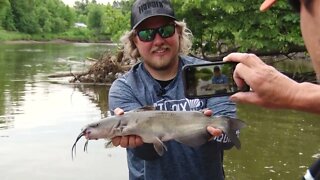 Catfish on the Upper Mississippi River