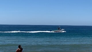 Dolphins chase Malibu Lifeguard