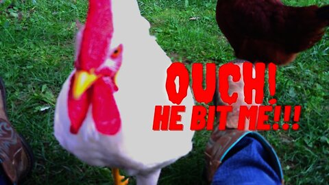 Mr. ATTITUDE: FOGHORN LEGHORN/The White Rooster Crowing