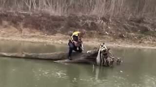 Firefighter Rescues Dog Stranded On Fallen Tree