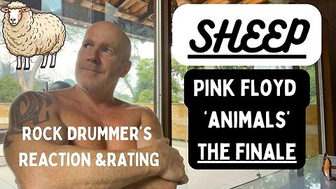 Sheep, Pink Floyd - Reaction and Rating (Finale - Animals Album)