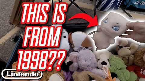 YOU DON'T SEE THIS EVERDAY!! | Lintendo Thrifts