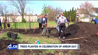 Reforesting Forest City: Nearly 100 volunteers plant trees in Forest City, Slavic Village