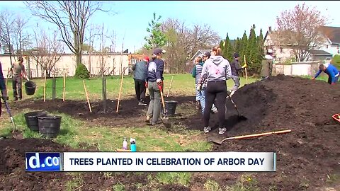 Reforesting Forest City: Nearly 100 volunteers plant trees in Forest City, Slavic Village