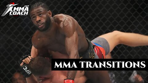 MMA transitions and how to improve them: Aljamain Sterling VS Petr Yan 2 UFC 273 post fight analysis