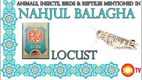 Locust - Animals, Insects, Reptiles & Amphibians mentioned in Nahjul Balagha (Peak of Eloquence)