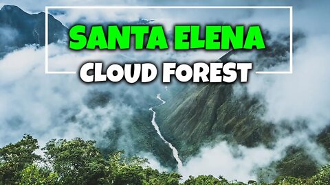 LARGEST FORESTS IN THE WORLD | NATIONAL PARK | UNESCO | TROPICAL FOREST