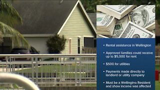 Village of Wellington offering rent and utility assistance for residents