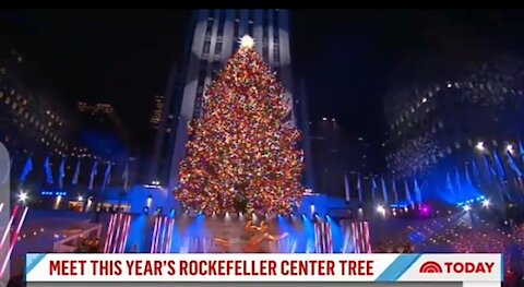 Meet the 2021 Rockefeller center Christmas tree 🎄