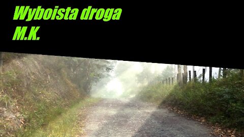 Wyboista droga