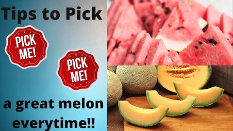 Tips to pick a great melon everytime!!