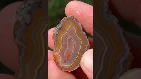 Prepping an EPIC Malawi agate for polishing!