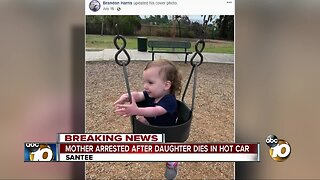 Mother arrested after daughter dies in hot car
