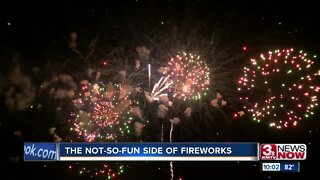 The Not-So-Fun Side of Fireworks