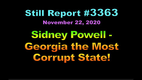 Sidney Powell – Georgia the Most Corrupt State, 3363b