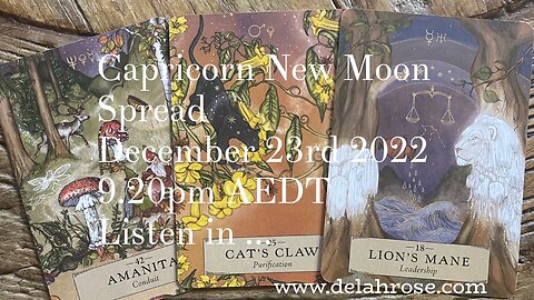 Guided by the Signs - Capricorn New Moon Reading- December 23rd 2022