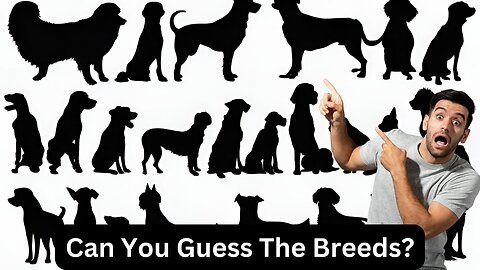 80% Fail This! Guess The Dog Breed By Their Shadow - Quiz Whiz Tube
