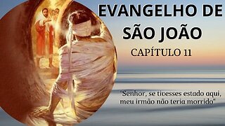 [Evangelho de São João - CAP 11]