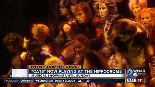 CATS now playing at the Hippodrome