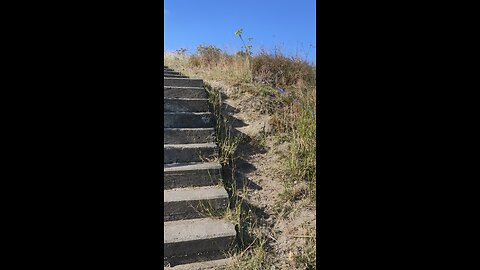 viral video one thousand steps