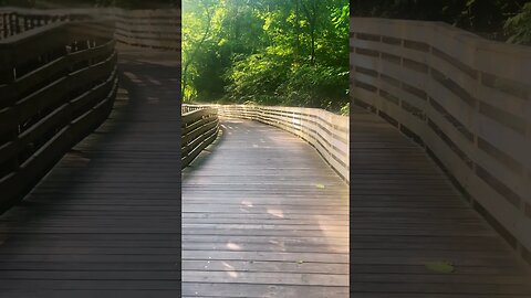 Morning stroll through Woodstock, GA #trails #bridge #hiking #georgia #peaceful #scenic #relaxing