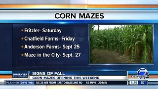 Corn mazes start opening this weekend