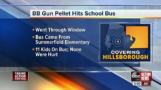 BB gun pellet hits school bus