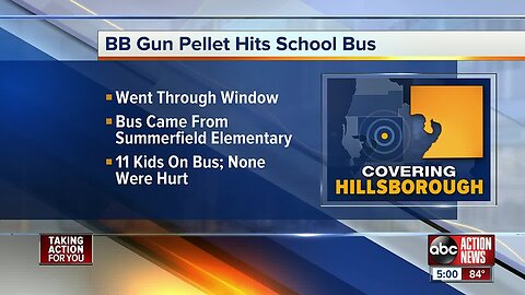 BB gun pellet hits school bus