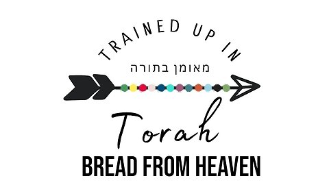 Bread from Heaven- Exodus 16 Sabbath School lesson