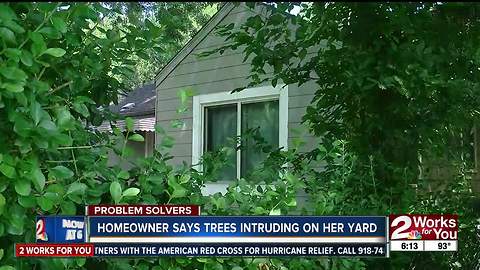 Homeowner says trees intruding on her yard